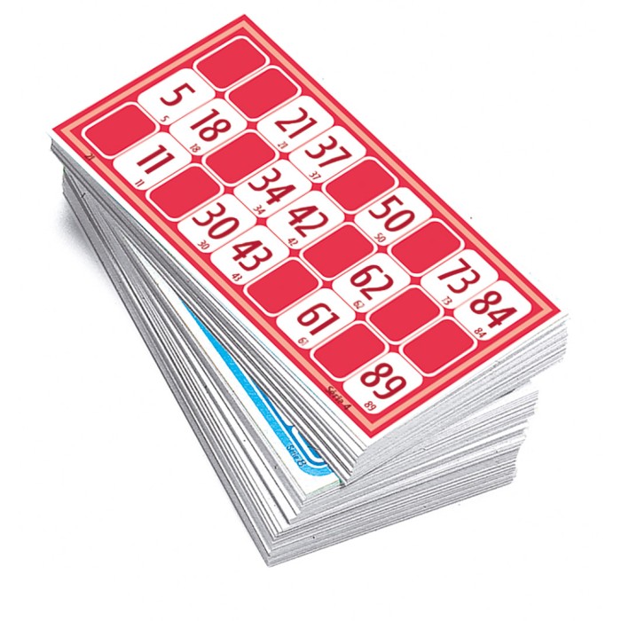 96 CARTES DE LOTO